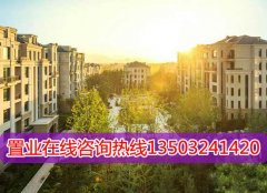 沧州青县房地产政策：沧州青县买房限购吗？
